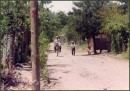Limay 1994