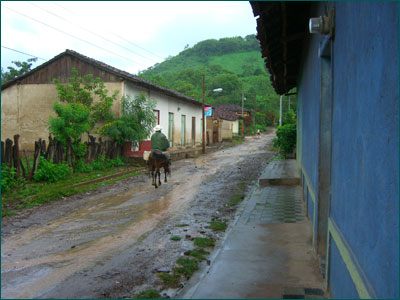A horse and rider travel up the wet streets of Limay.